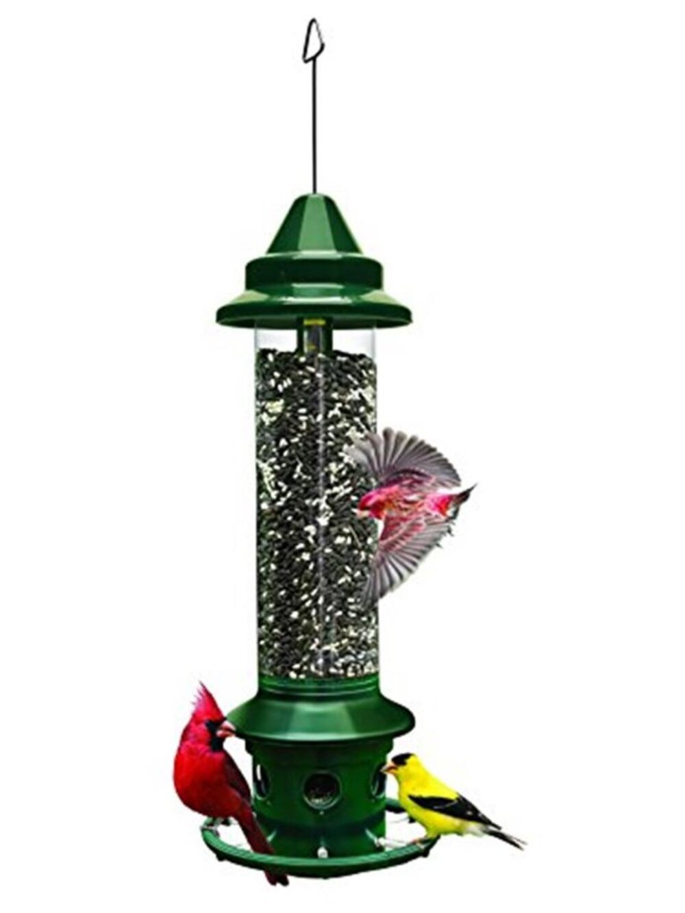 New Squirrel Buster Plus Squirrel-proof Bird Feeder w/Cardinal Ring and 6 Feedin